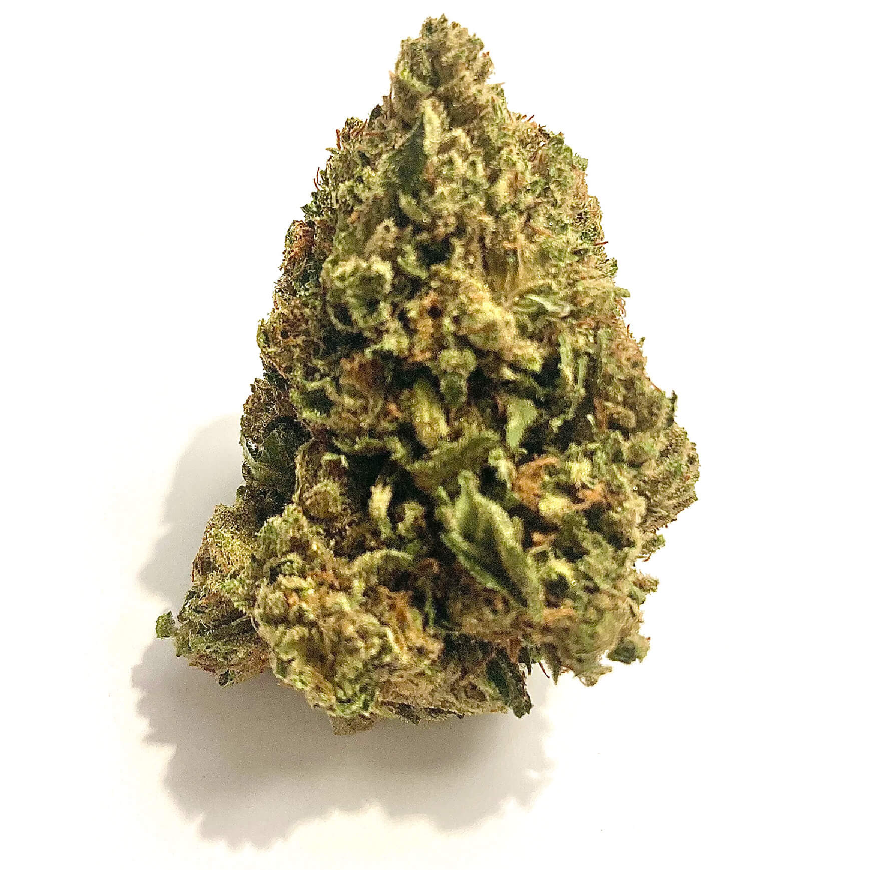 bubba kush - swiss hemp wholesale