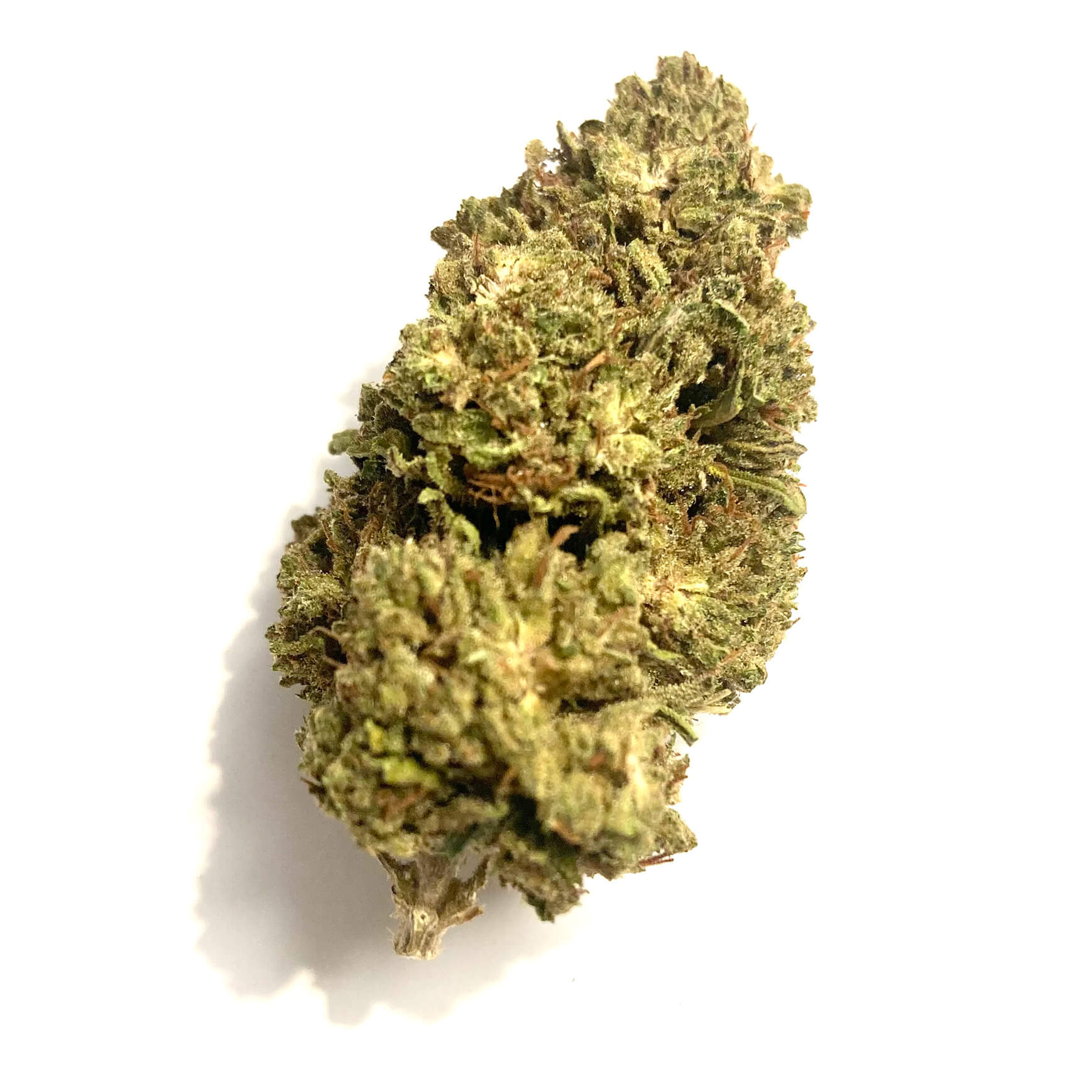 og lime - swiss hemp wholesale