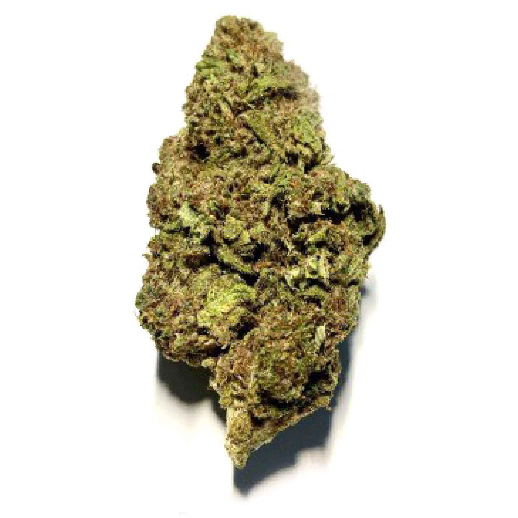 purple og legendary - swiss hemp wholesale